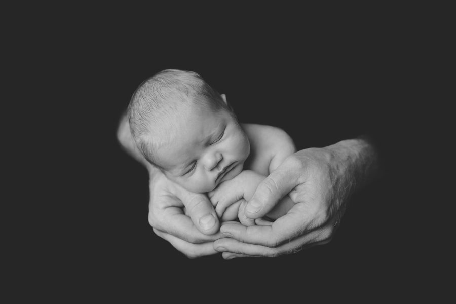 black and white newborn in hands