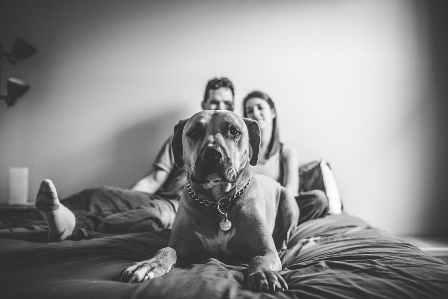 lifestyle shot of newborn with family and dog