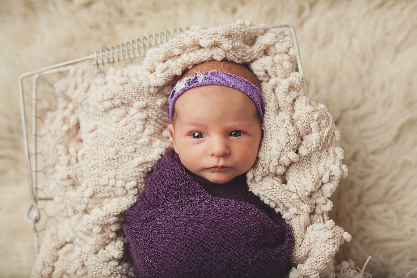 newborn girl wrapped in purple laying in basket