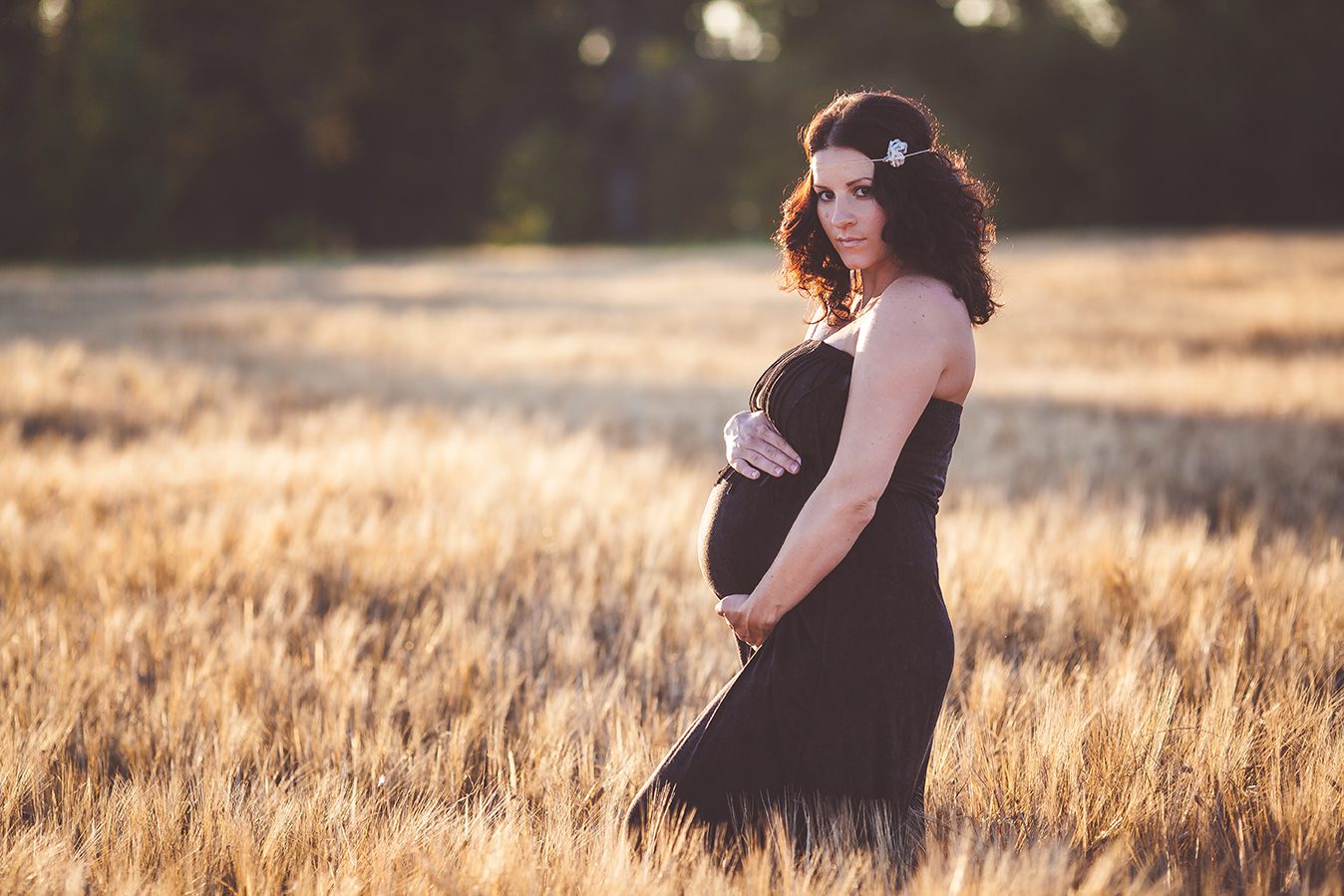 sunset maternity session in the wheat field
