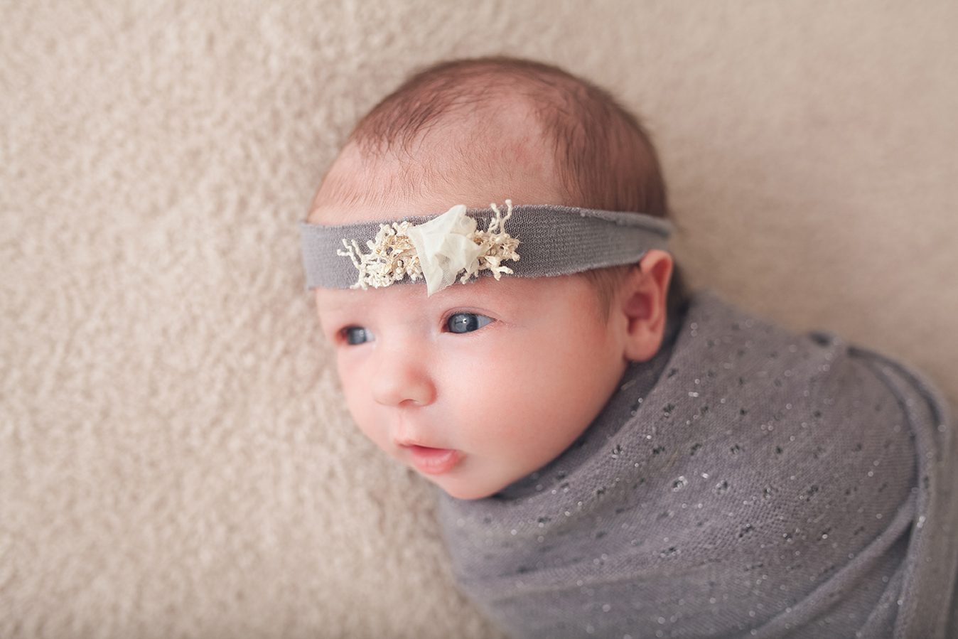 edmonton newborn photographer - newborn wrapped in grey wrap
