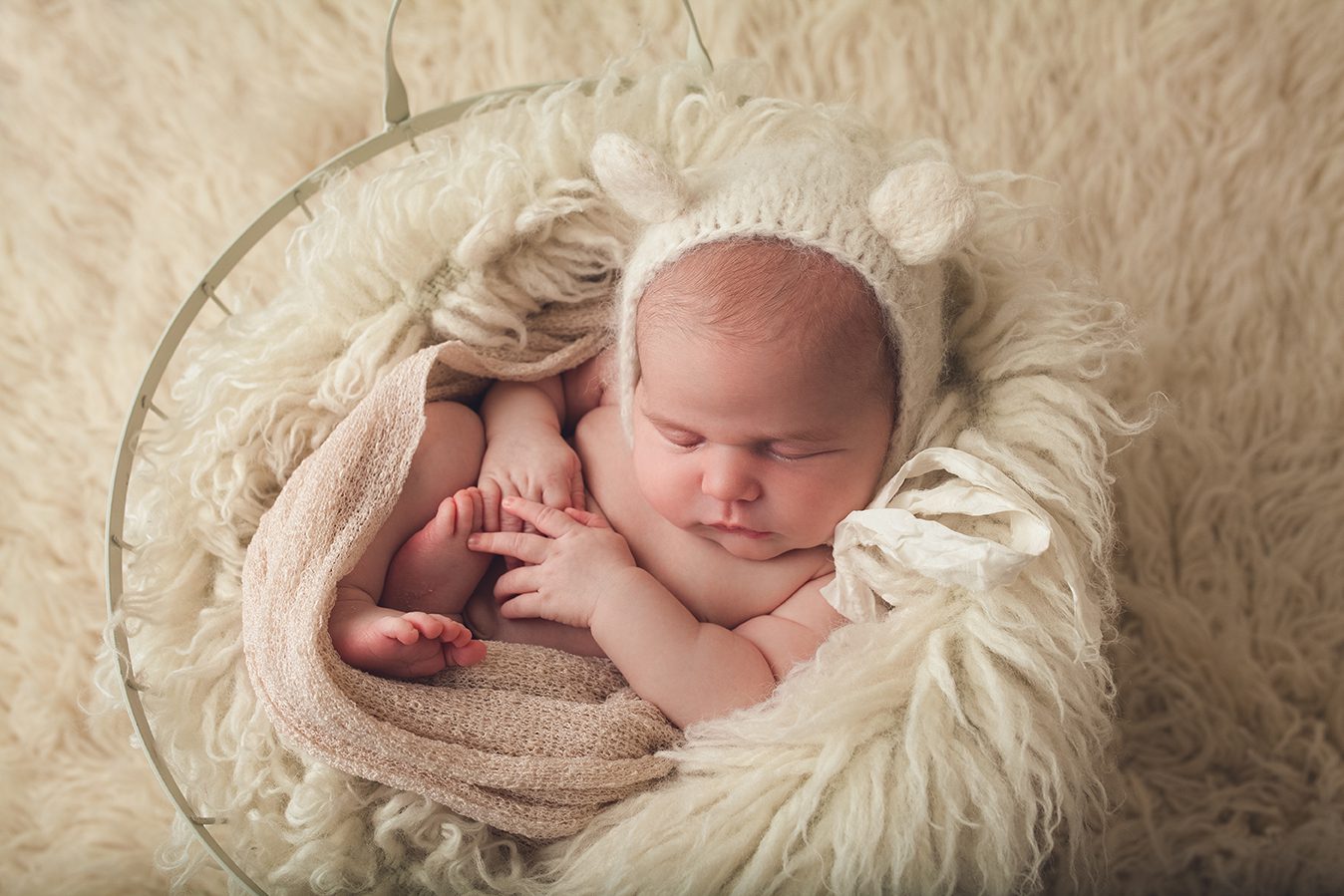 edmonton newborn photographer - teddy bear posed