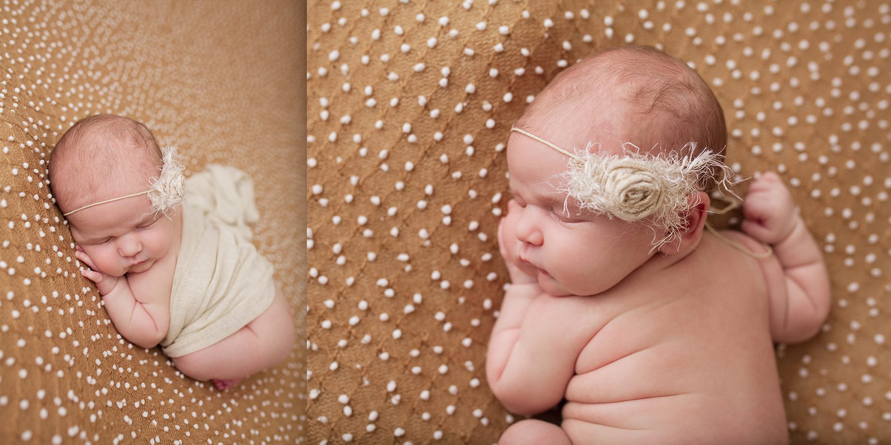 edmonton newborn photographer - posed on her tummy