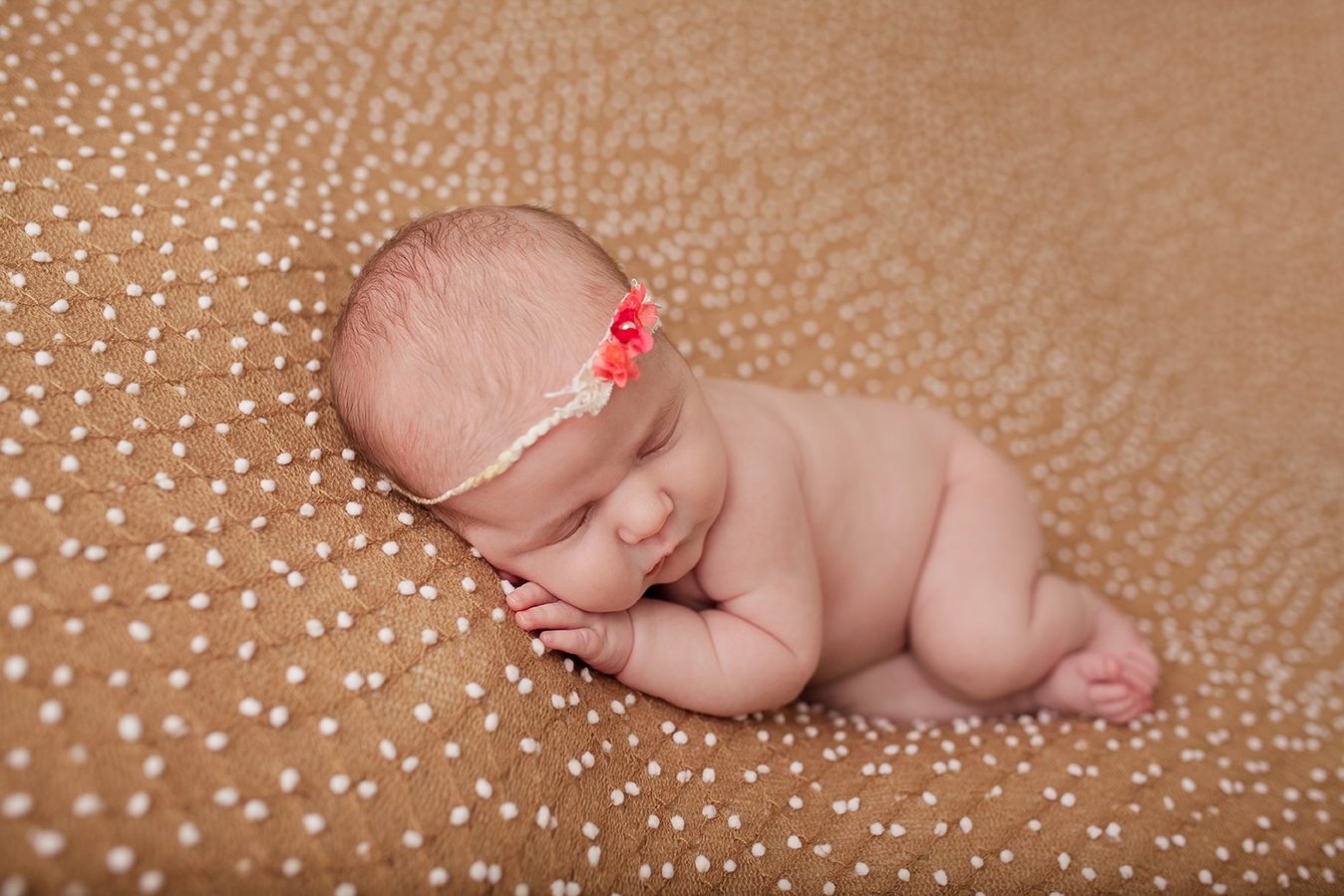 edmonton newborn photographer - posed on her tummy