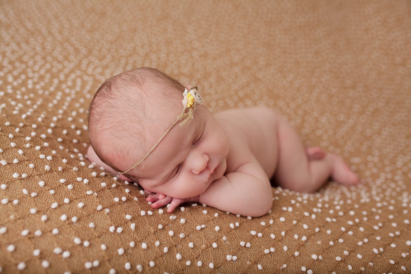 edmonton newborn photographer - posed on her tummy with head and hands