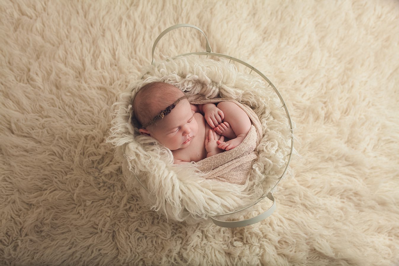 edmonton newborn photographer - posed in bucket