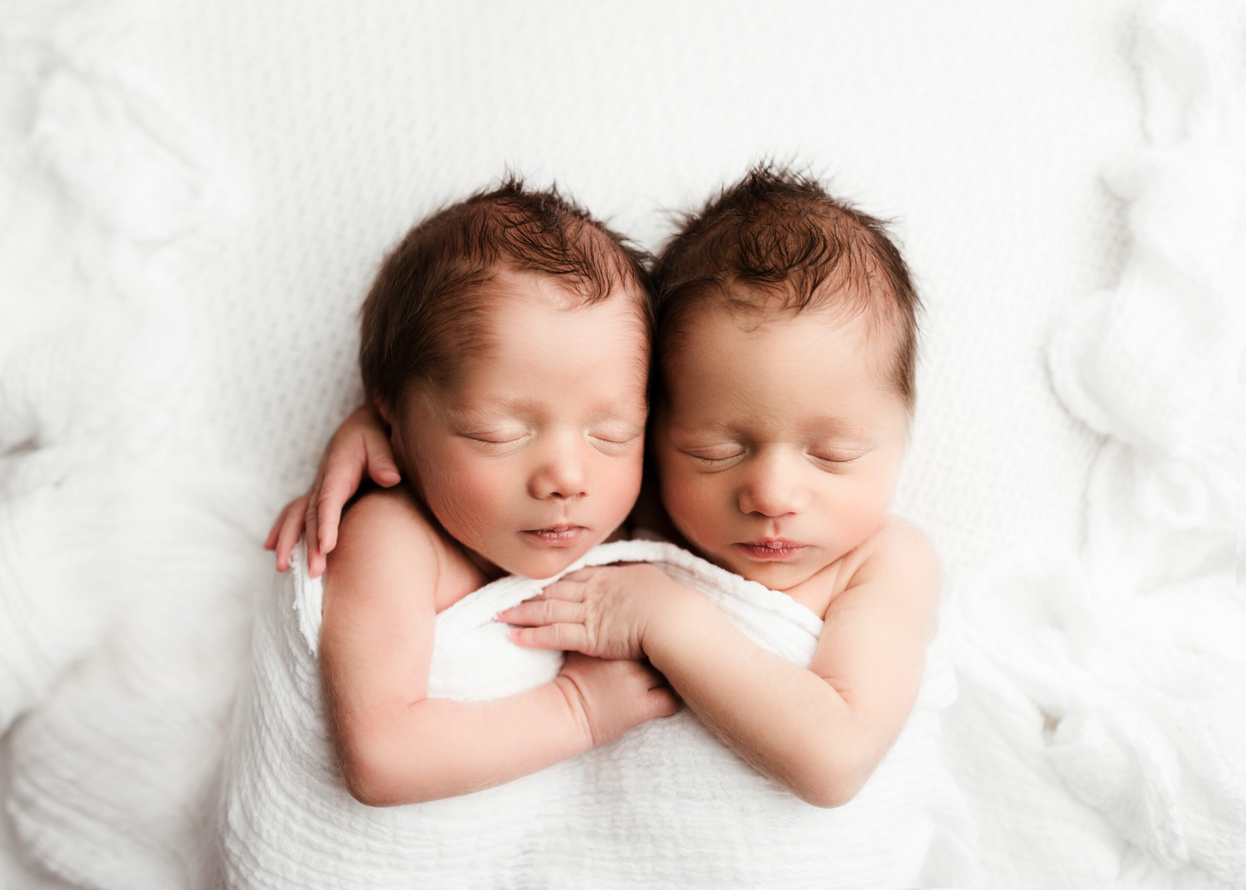 edmonton newborn photography, edmonton newborn photographers