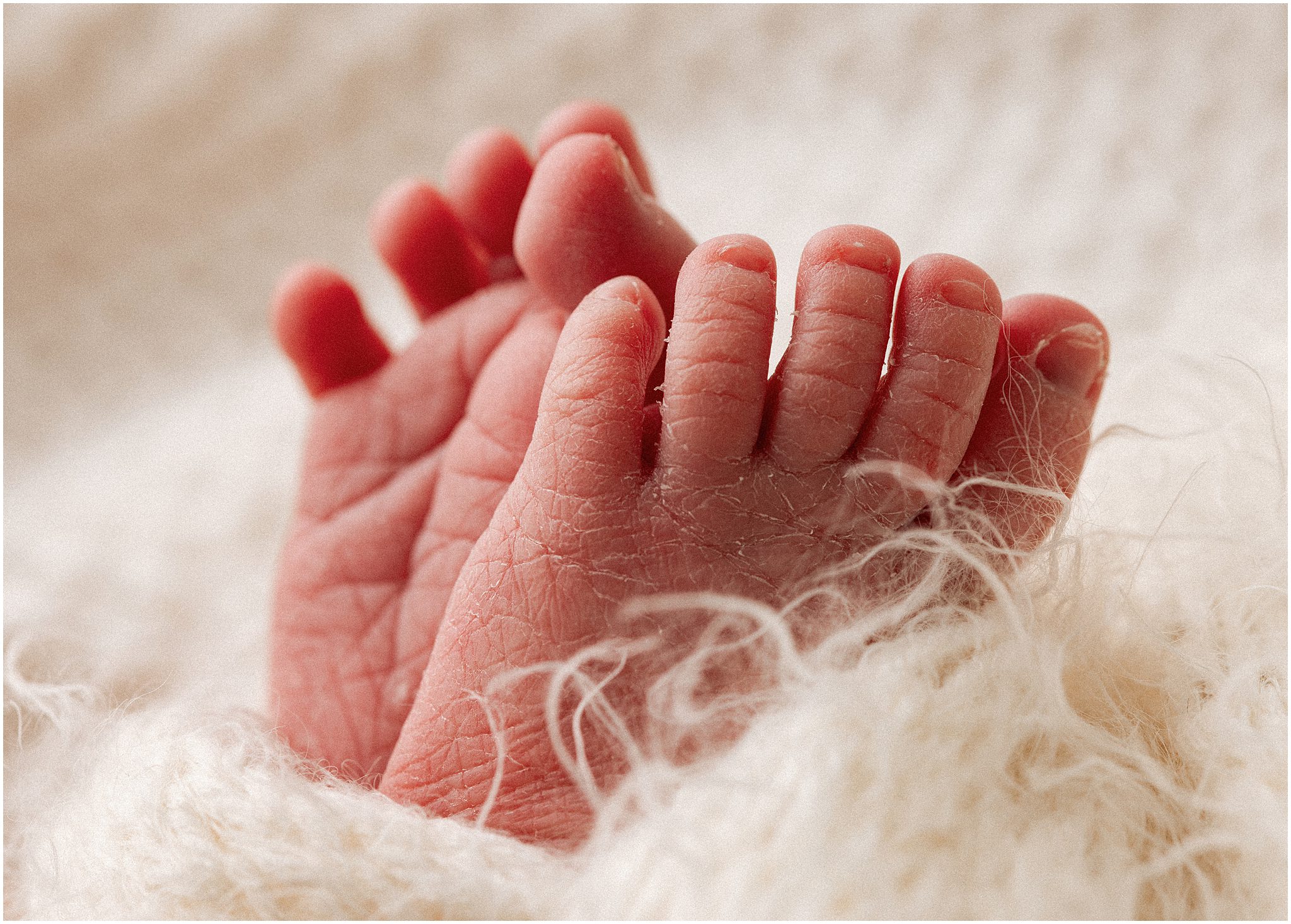 edmonton newborn photographers, edmonton newborn photography, newborn photography edmonton, newborn photographers edmonton